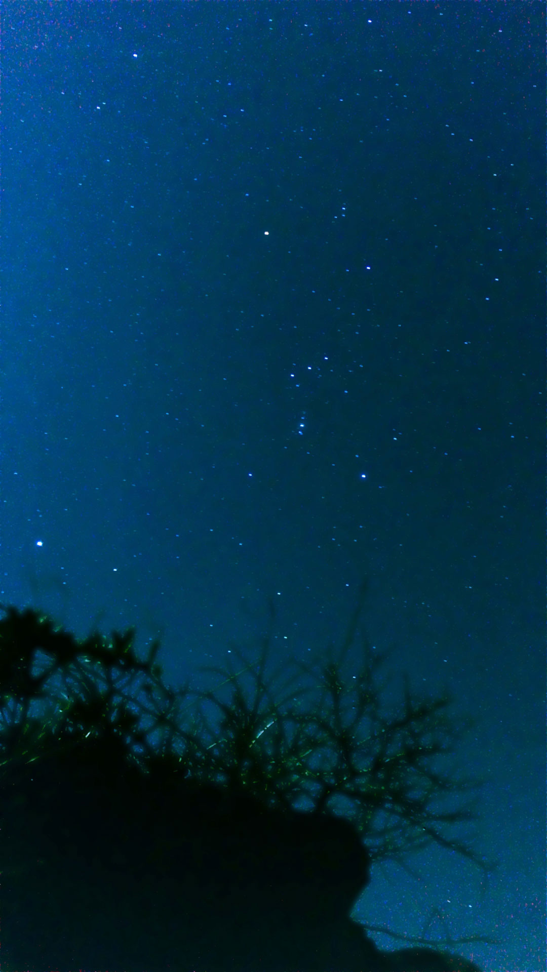 星降るカメラ iPhoneアプリ 星空 撮影 stars full camera astrophotography galaxy